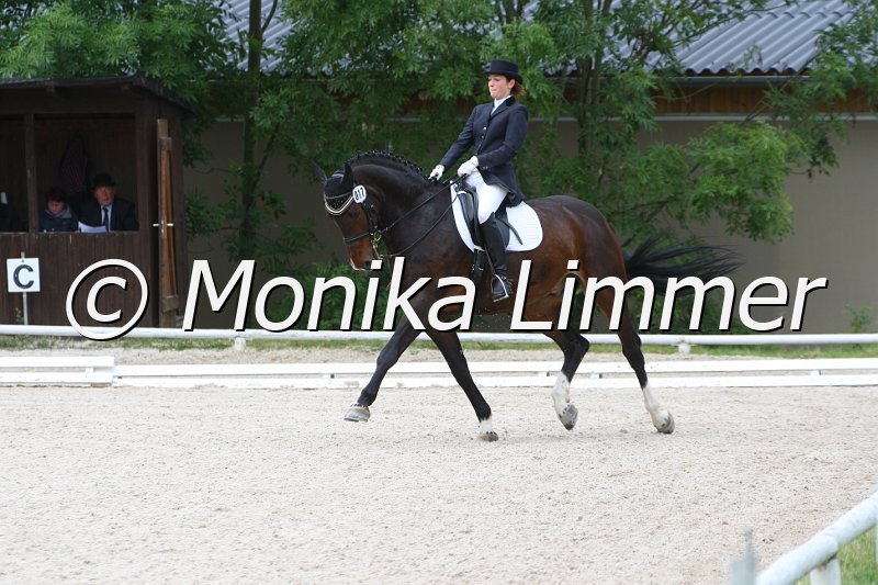 Kopie (1) von 097L7278.JPG